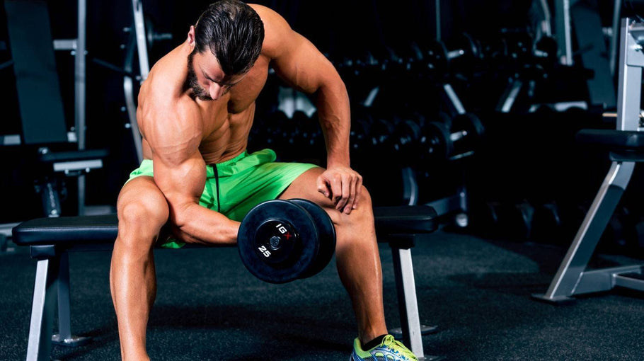 Muscle Building Diet: 17 Best Foods to Eat For Muscles and Fast Recovery